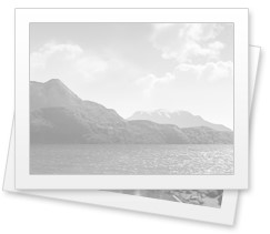 Island Tours